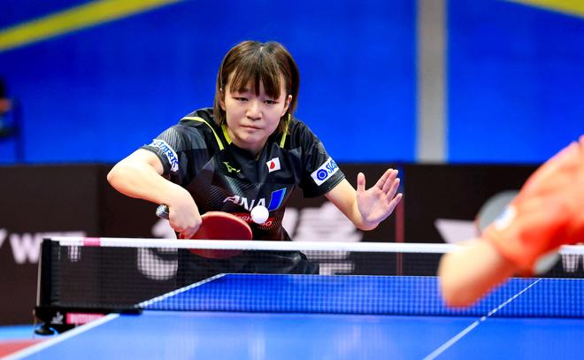 各地的伙伴 各地的伙伴